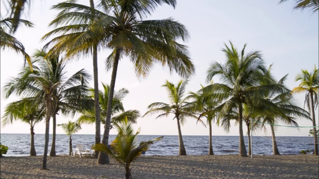 Playas de Tolú, Colombia - descubre esta joya en la costa de Colombia