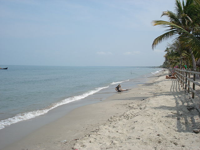 Playa el Francés