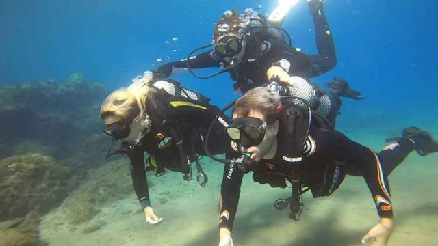 Escuelas de Buceo en Colombia