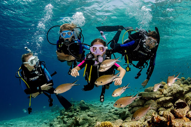 Los mejores lugares para bucear y hacer snorkel en Cancún