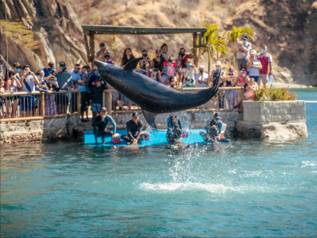 planes familiares en santa marta