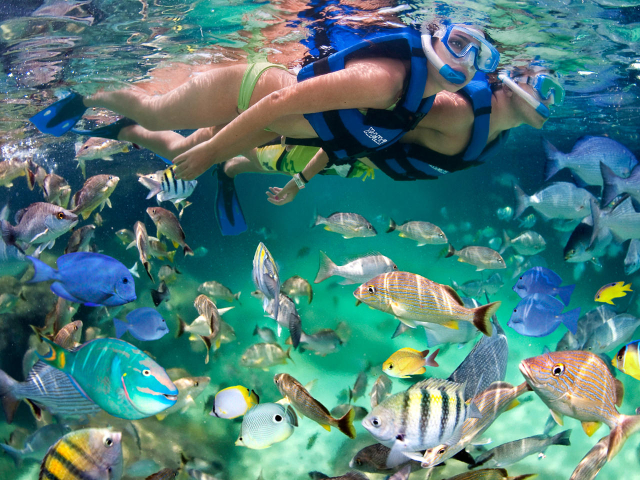 Los mejores arrecifes para hacer snorkel en Cancún
