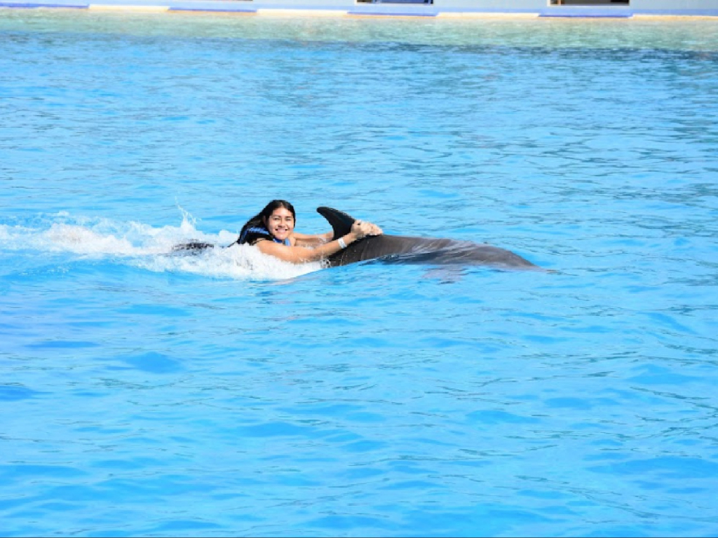 Dolphin Playa del Carmen