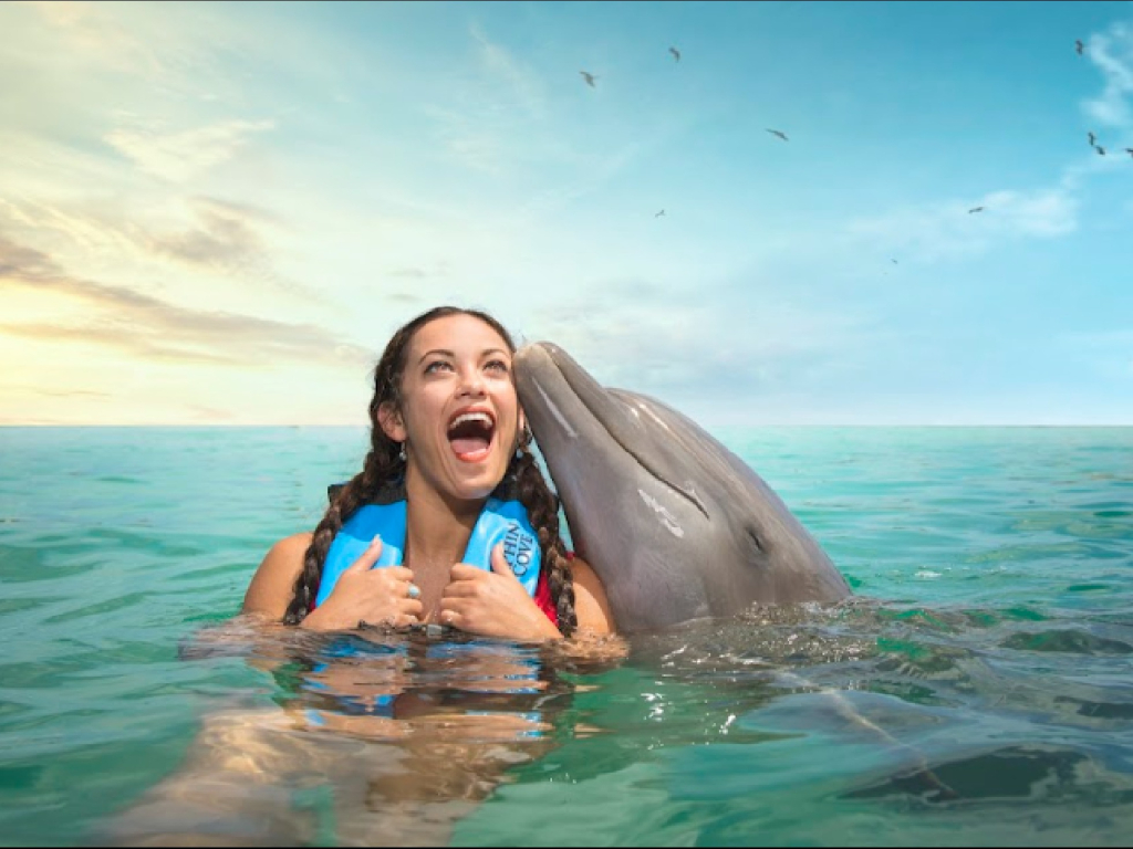 Dolphin Playa del Carmen