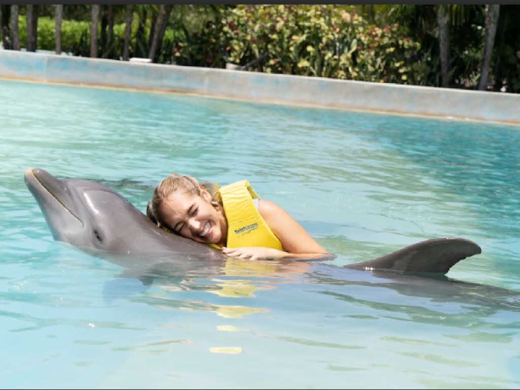 Dolphin Playa del Carmen
