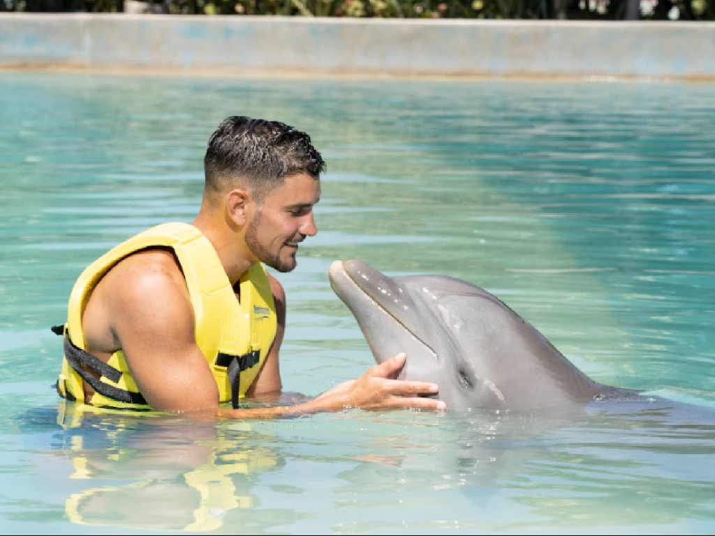 Dolphin Playa del Carmen