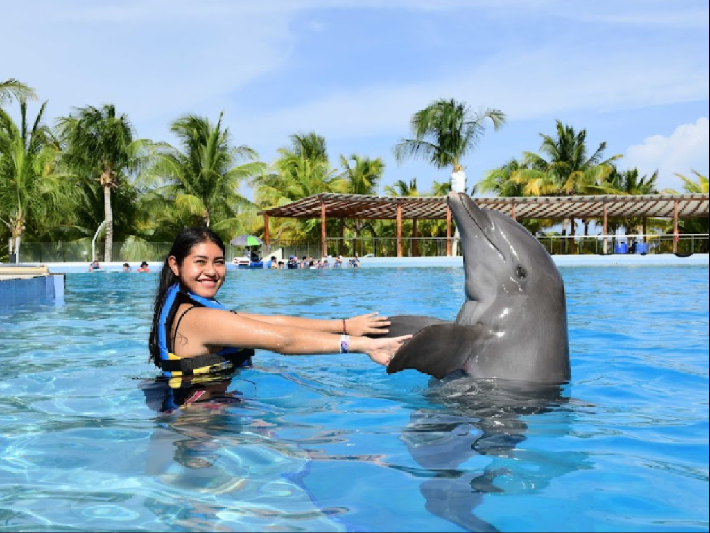 Dolphin Playa del Carmen