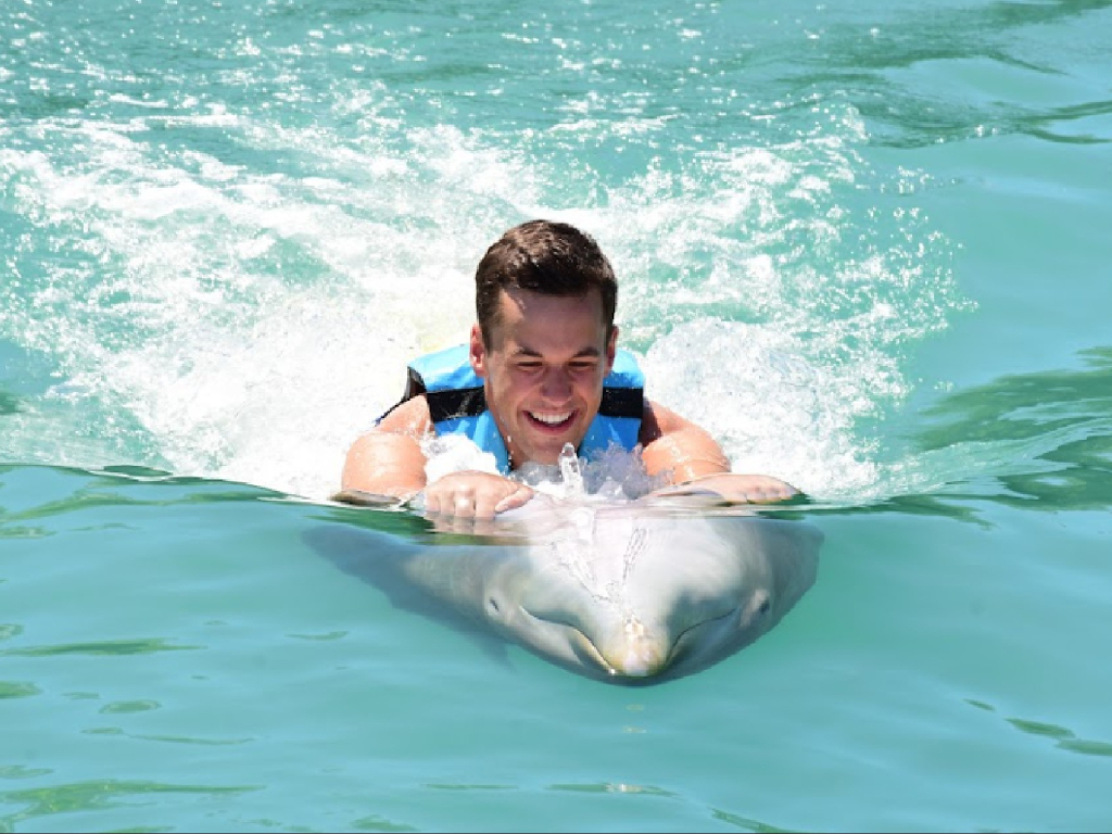 Dolphin Playa del Carmen