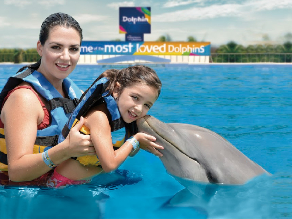Dolphin Playa del Carmen