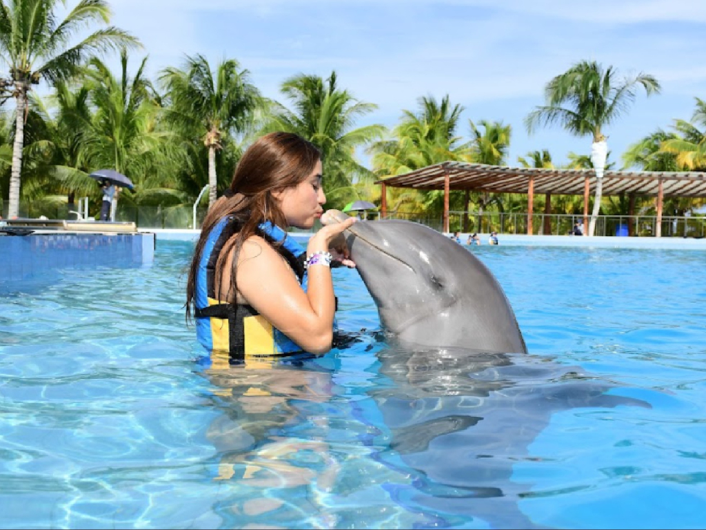 Dolphin Playa del Carmen