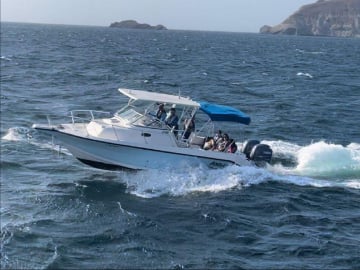mini-yacht pêcheur