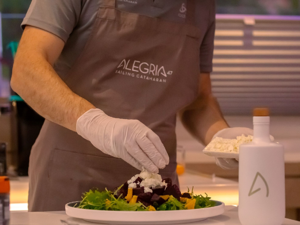 Catamarán Alegria  6