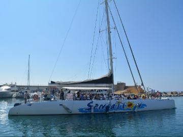 Catamaran Sensation IV