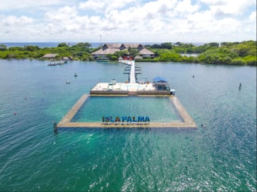 VIP Pass Island Palma