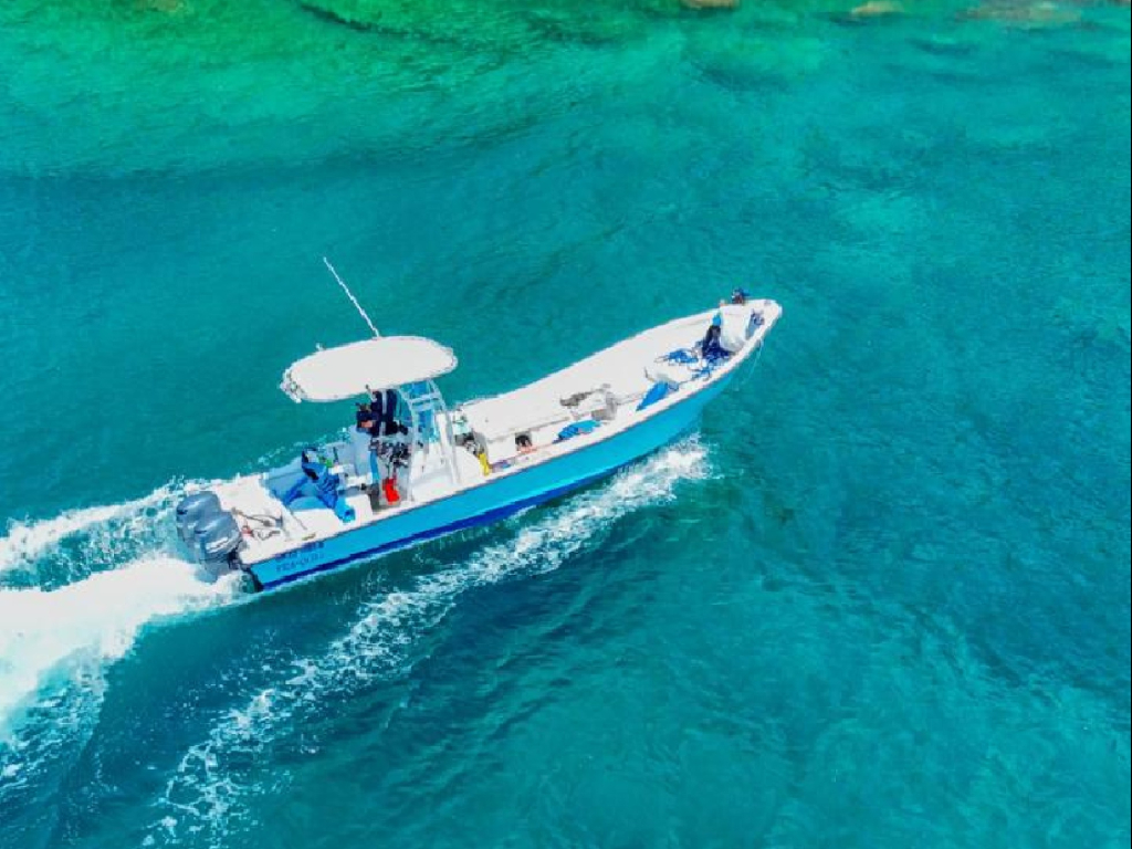 fcnkevtsuhzmiwxgpryo