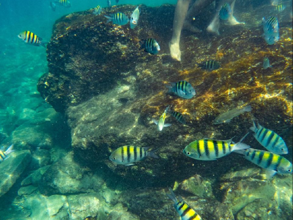 lbvkxrwpiumjaoehctfd