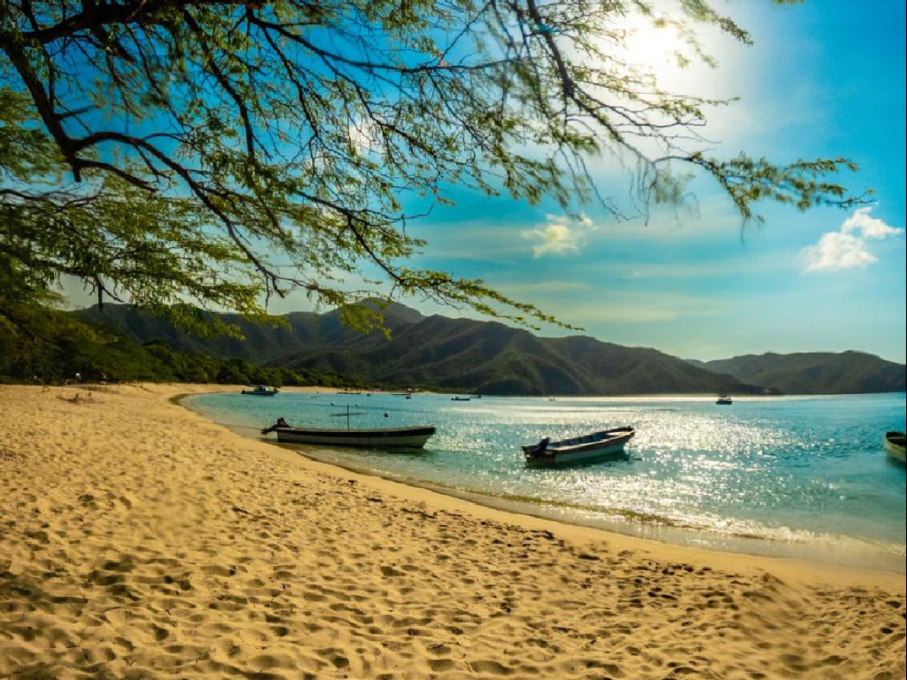 xsjgpvikthabqcelzwyd