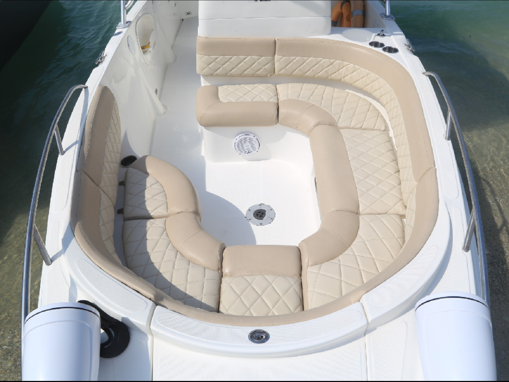 Venta de lancha deportiva para 14 personas