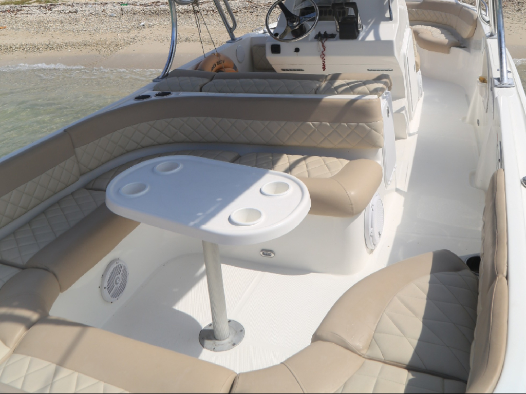 Venta de lancha deportiva para 14 personas