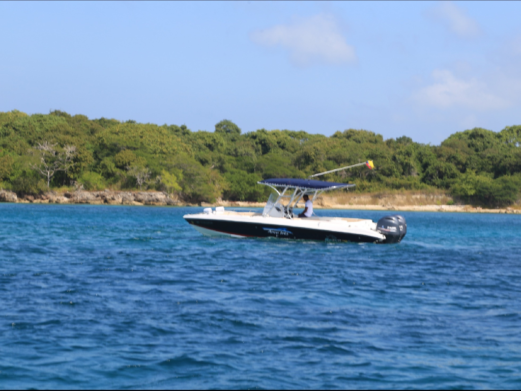 Venta de lancha deportiva para 14 personas