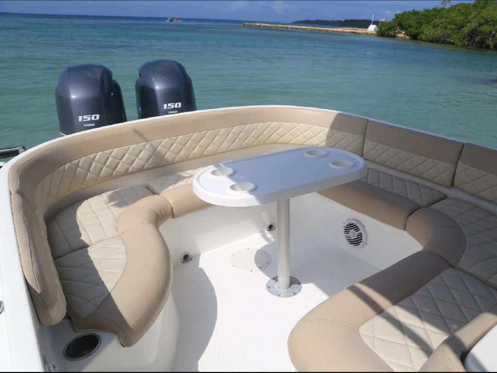 Venta de lancha deportiva para 14 personas