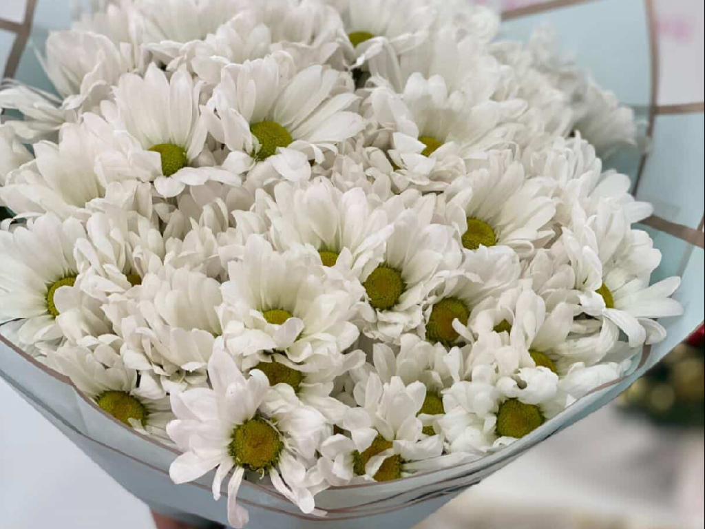 alquiler lancha para esparcir las cenizas