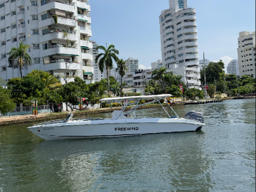 Lancha Freewind