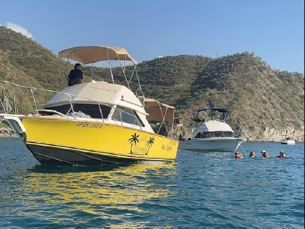 Alquiler de mini yate